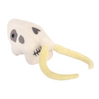 Wollhaarmammut-Schädel