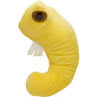 GIGANTISCHEmikrobe Bücherwurm