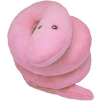 GIGANTISCHEmikrobe Syphilis