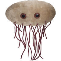 E. coli Gigantique