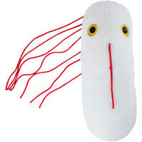 GIGANTISCHEmikrobe Salmonelle