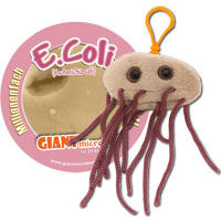 Porte-clés E. coli