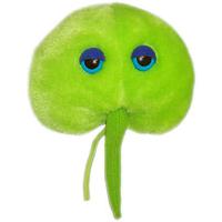 Meeresleuchttierchen